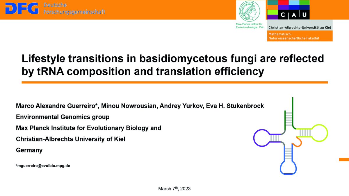 In our work we show that lifestyle transitions in basidiomycetes result from selection during evolution by optimizing translation of certain pathways. If you would like hear more about the topic, I'll be presenting at CS3.1. Feel free to talk to me at our poster CS3.1.7
#ECFG16