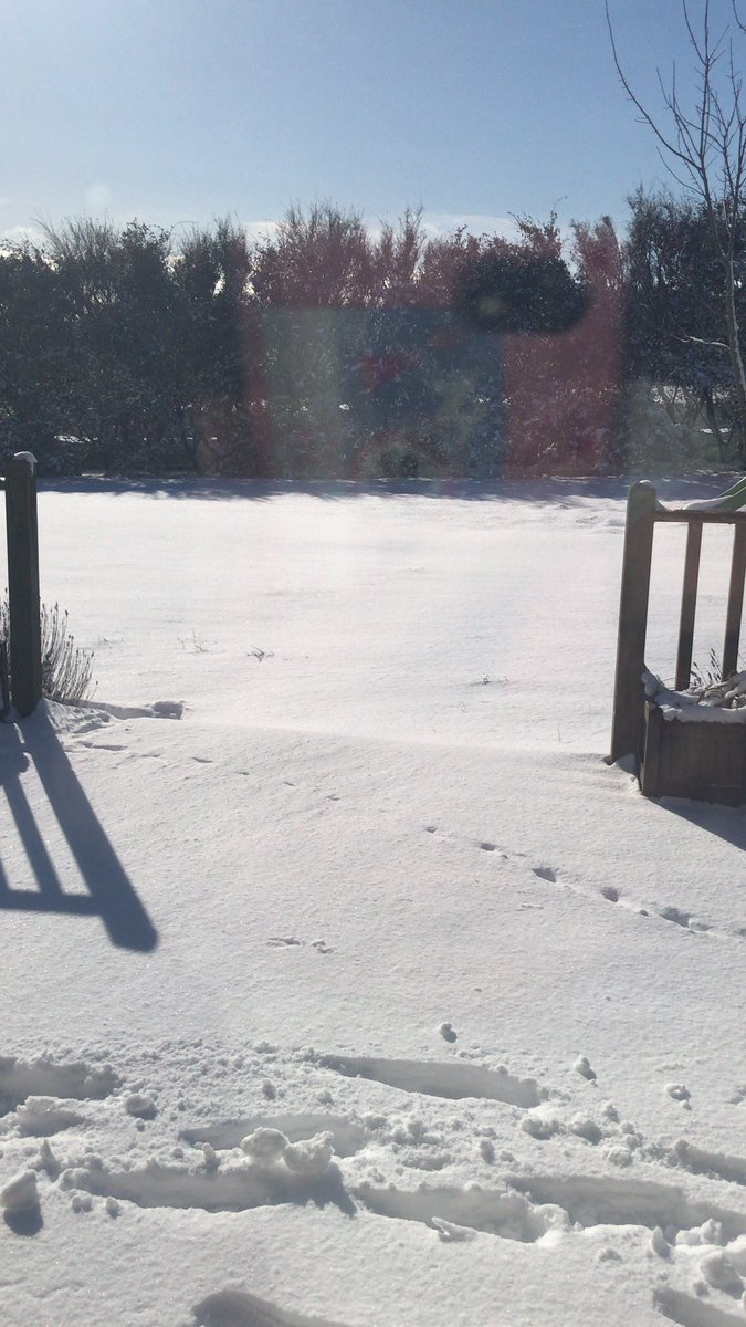 GarringtonIllu's tweet photo. Narnia outside my house today.  Have a headache, don’t want to get out of bed, but I have to because my chickens need fed and watered.  Not sure I’ll get anything creative done. 😩 https://t.co/oqoixc8XSD
