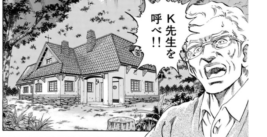 なんか怪我とか病気が突発で怒っても「K先生を呼べ!!」でまあ助かる環境、つよいな 