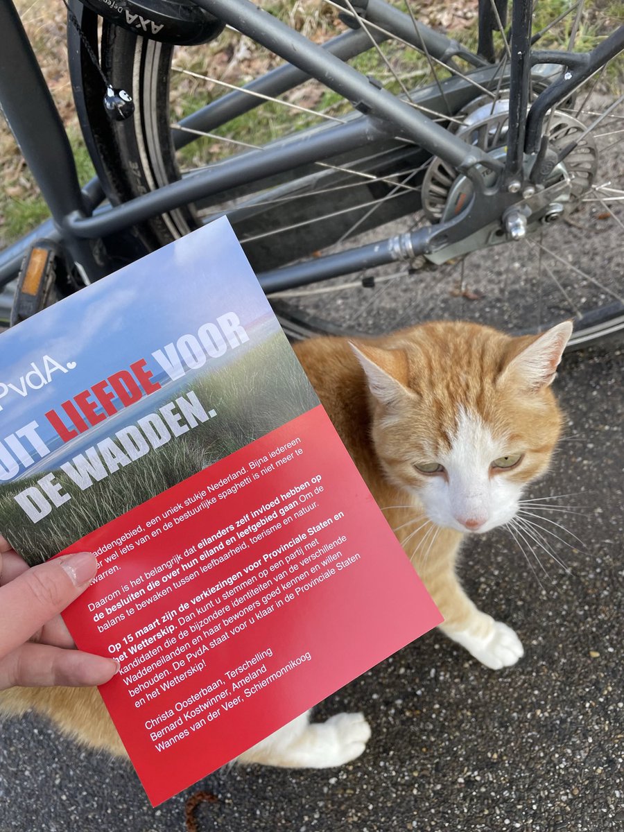 Of deze meneer kiesgerechtigd is werd me niet helemaal duidelijk, maar hij vond in ieder geval de flyer erg mooi! #PvdA #pvdawadden