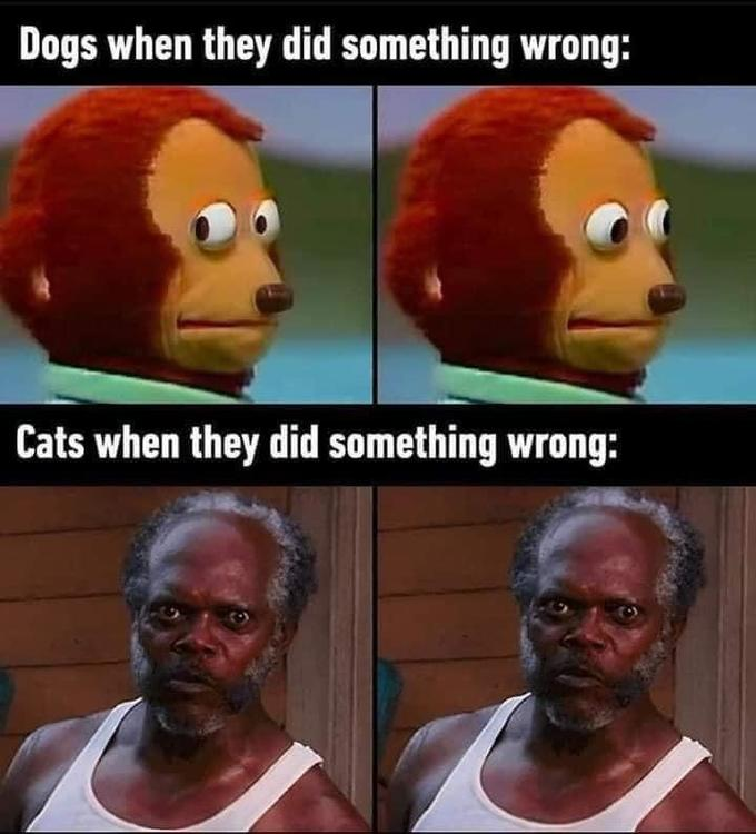 mintingvibes's tweet photo. Well, this is funny! 😂 https://t.co/R0Cy46HEm5