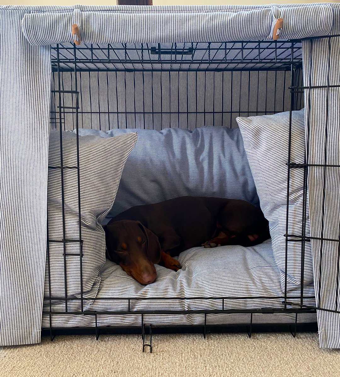 houndandpack's tweet photo. Our crate bedding helps to create a cosy &amp; comfortable space for your dog to relax in. 🐾🤍 

Crate set in cotton stripe.
Custom sizes &amp; fabrics available.
Machine washable. 

#dogs #cratetraining #dogtraining #pets #etsyhandmade #etsyseller #amazon #uk #dogsarefamily #pets https://t.co/LULVoc2g0I