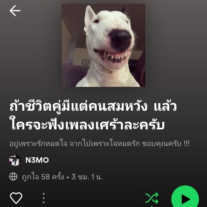 ชอบปั่นวิวเพลงเศร้า