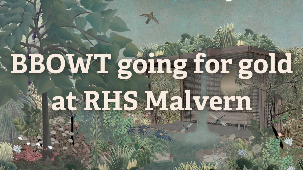 BBOWT's tweet photo. Very excited to be announcing this project with our partners @WildlifeTrusts, @gardendesigns and @FutureNatureWTC : https://t.co/tDQQjHWdEg https://t.co/CL7I4uOTiM