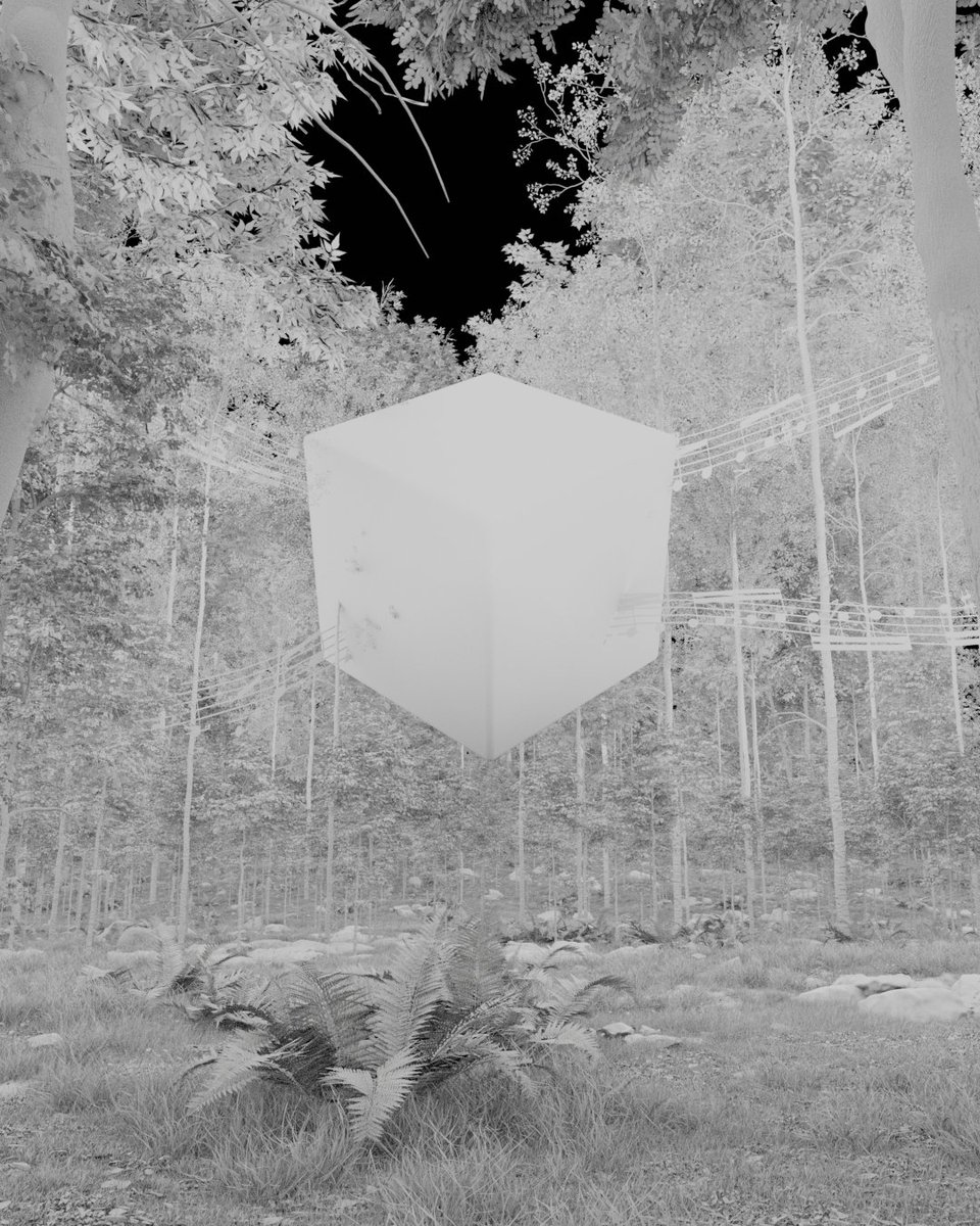 3Galazi's tweet photo. Sonata Forest

#b3d #renders #3dartwork #blender3d #blender #blenderstreet #blenderart
#blendercycles #dayart
#forest #conceptart #concept #sonata 
 #digitalart #godrays #xuxoe #blenderartwork #blendercommunity https://t.co/CVmCtpvHN6