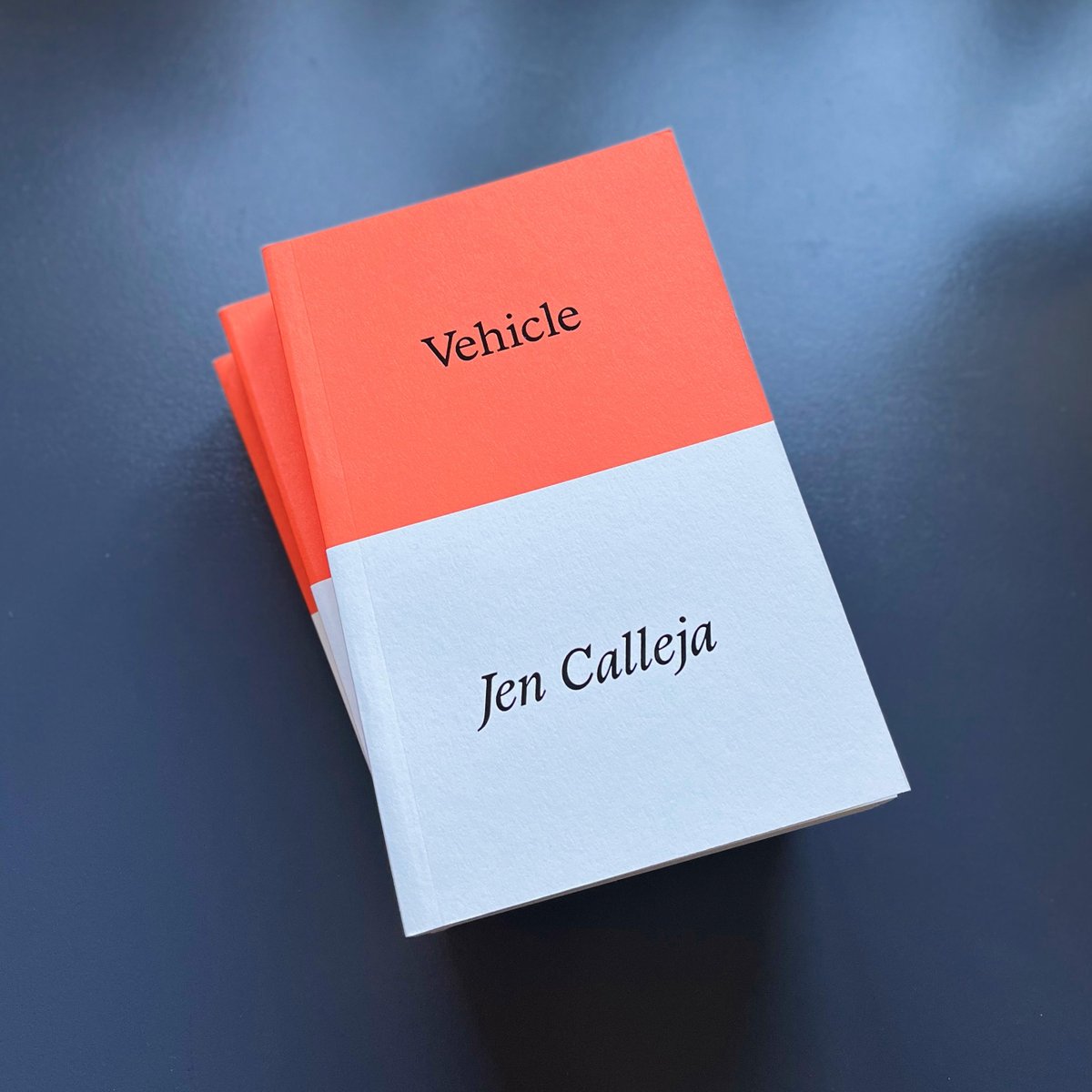 Next Friday 17th March — 6:30 until 8pm, join us and Prototype Publishing for the launch of Jen Calleja's new verse novel Vehicle! Jen will be in conversation with Sophie Collins, author of 'small white monkeys' (Bookworks, 2017). See you there!