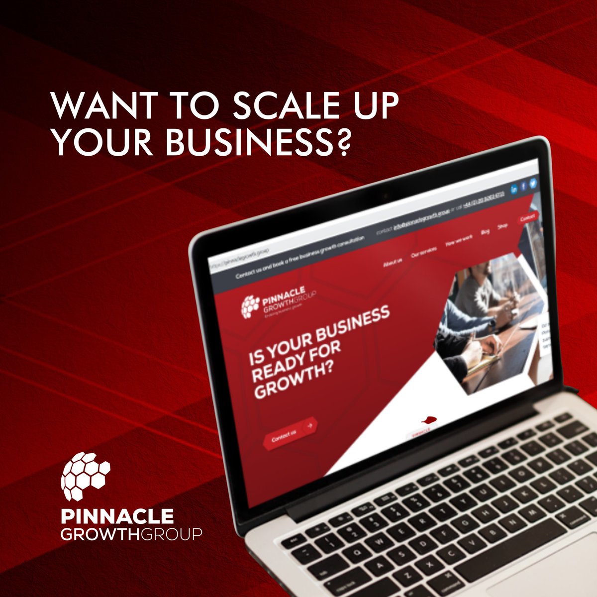 At Pinnacle, we can help you access new markets, secure extra funding to grow your business and provide expert advice to turn your business goals into reality.

Get in touch with us today! 

Email> info@pinnaclegrowth.group
Website > pinnaclegrowth.group