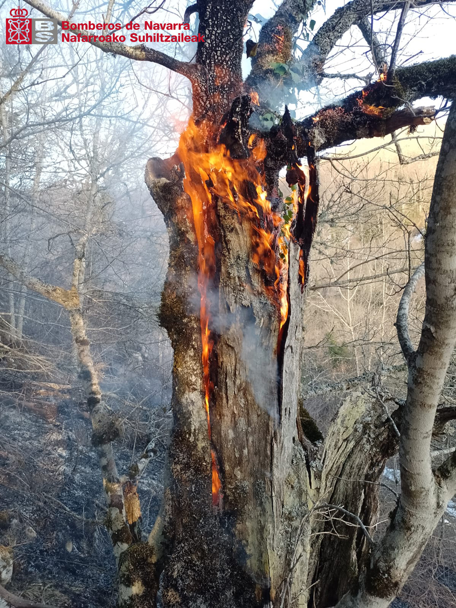 bomberos_na's tweet photo. Intervenimos la tarde de ayer en #Orbara para extinguir un incendio de vegetación que afecta a un robledal
Debido a la dificultad para llegar al lugar, accedemos andando y extinguimos el incendio con mochilas de agua y batefuegos
#ParqueBurguete https://t.co/0TI2jVPHFP