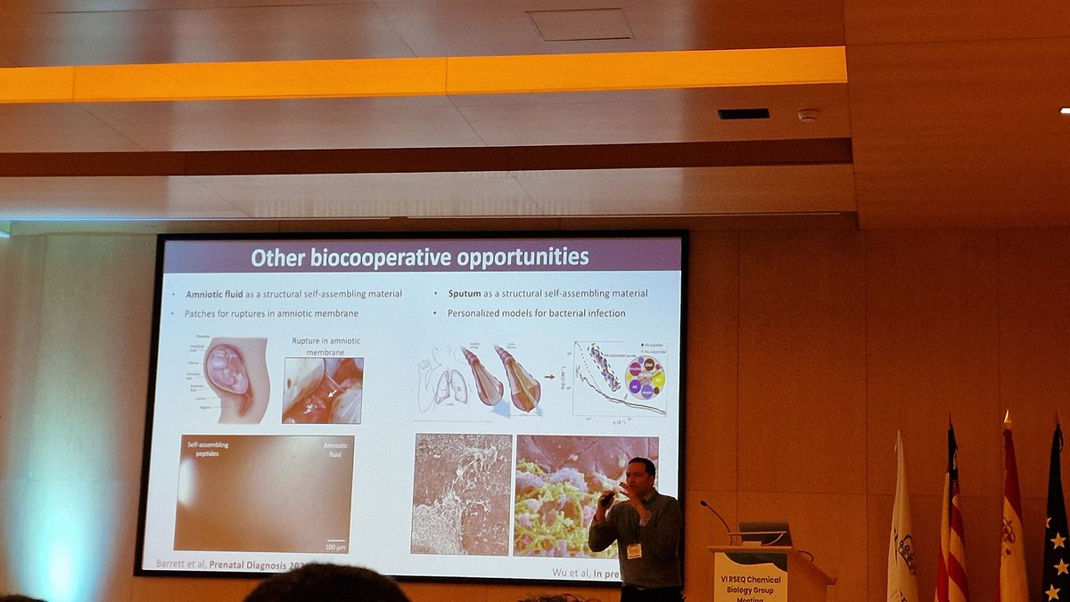 Very interesting talk from @Mata_Lab on #bioengineering #bioprinting #selfassembly and #peptides at #chembio conference