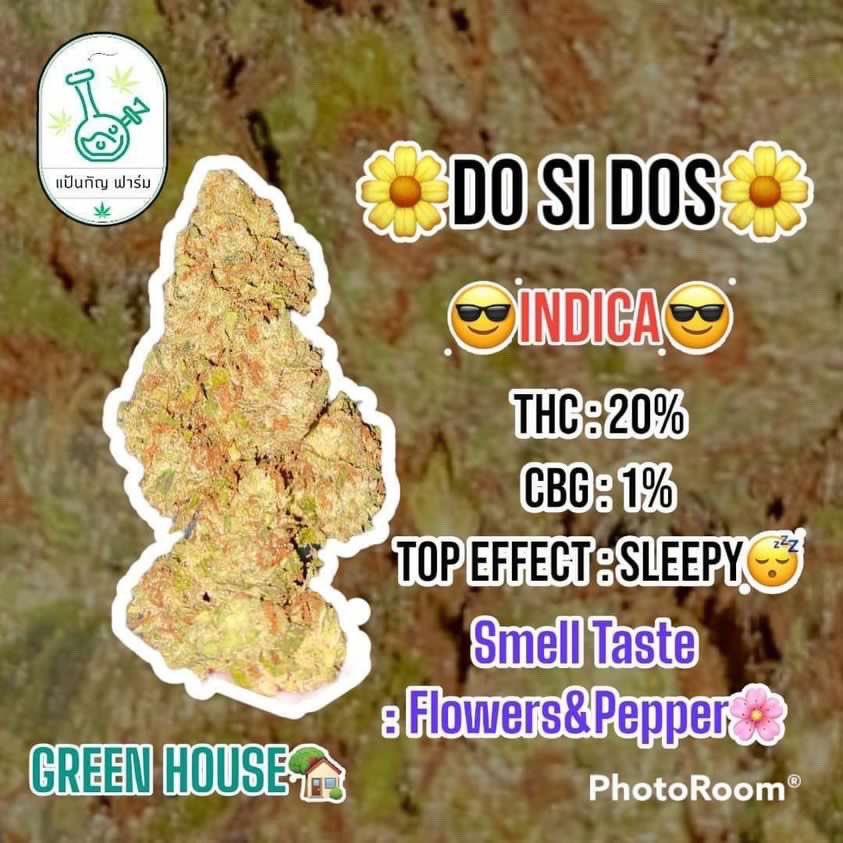 cannabis tweet media