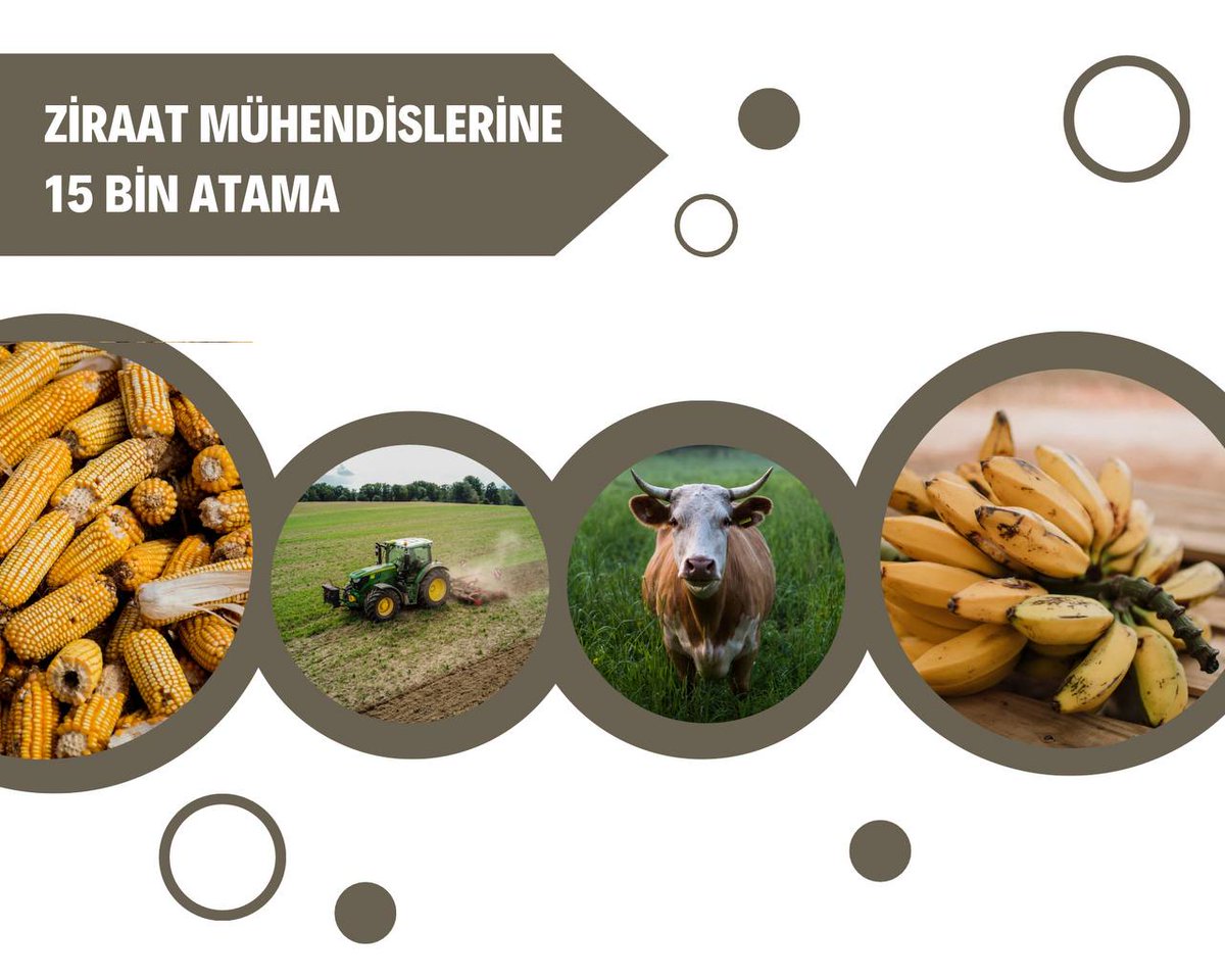 Ziraat mühendisleri 15 bin atama bekliyor gençlerin umudu olun. TARIM ziraat mühendisleri ve çiftçinin buluşması ile kalkınacak.
<a href="/VahitKirisci/">Prof.Dr.Vahit Kirişci</a> <a href="/RTErdogan/">Recep Tayyip Erdoğan</a>
#CbZiraate15BinOnay