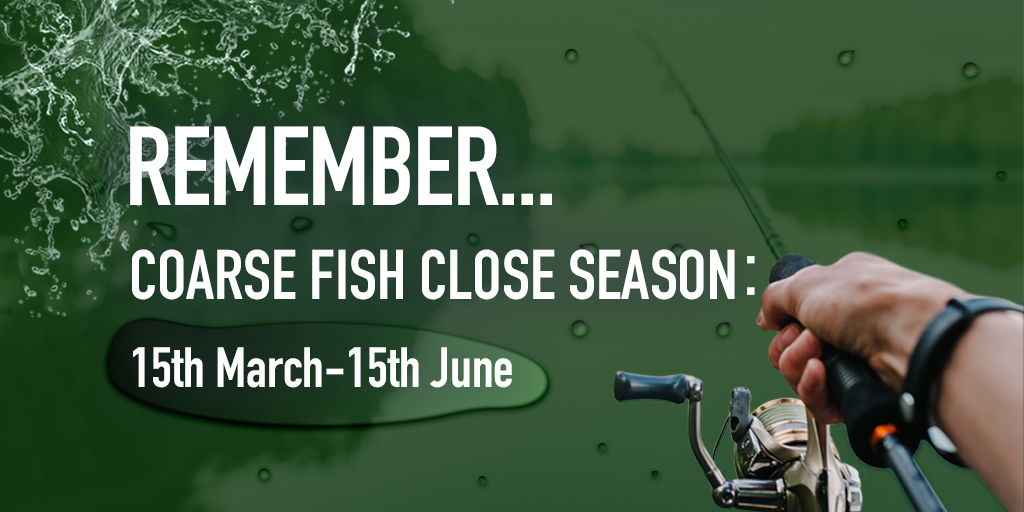 Fish_Ecology_SE's tweet photo. 🚨🎣
Next Wednesday 15 March is the start of the coarse fish close season. Coarse fishing on rivers will be prohibited until 15 June.
Find out more here: https://t.co/SgGGEcZLQ1
@EnvAgencySE #CoarseFish #CloseSeason #TeamFBG https://t.co/ZhbDkWIOME
