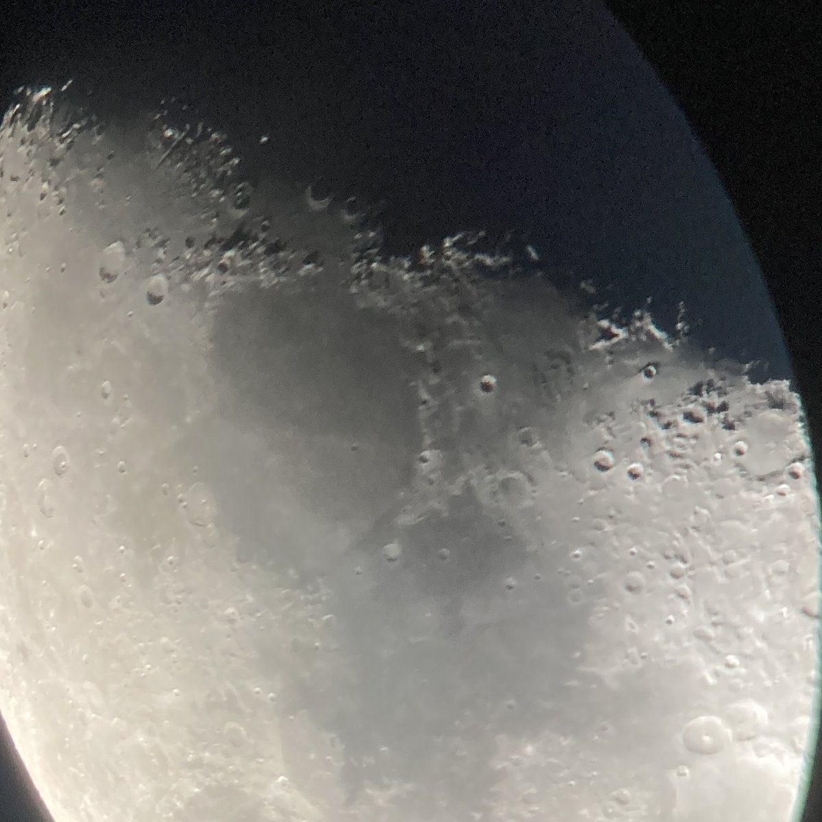 Redmaids'HighScience tweet media