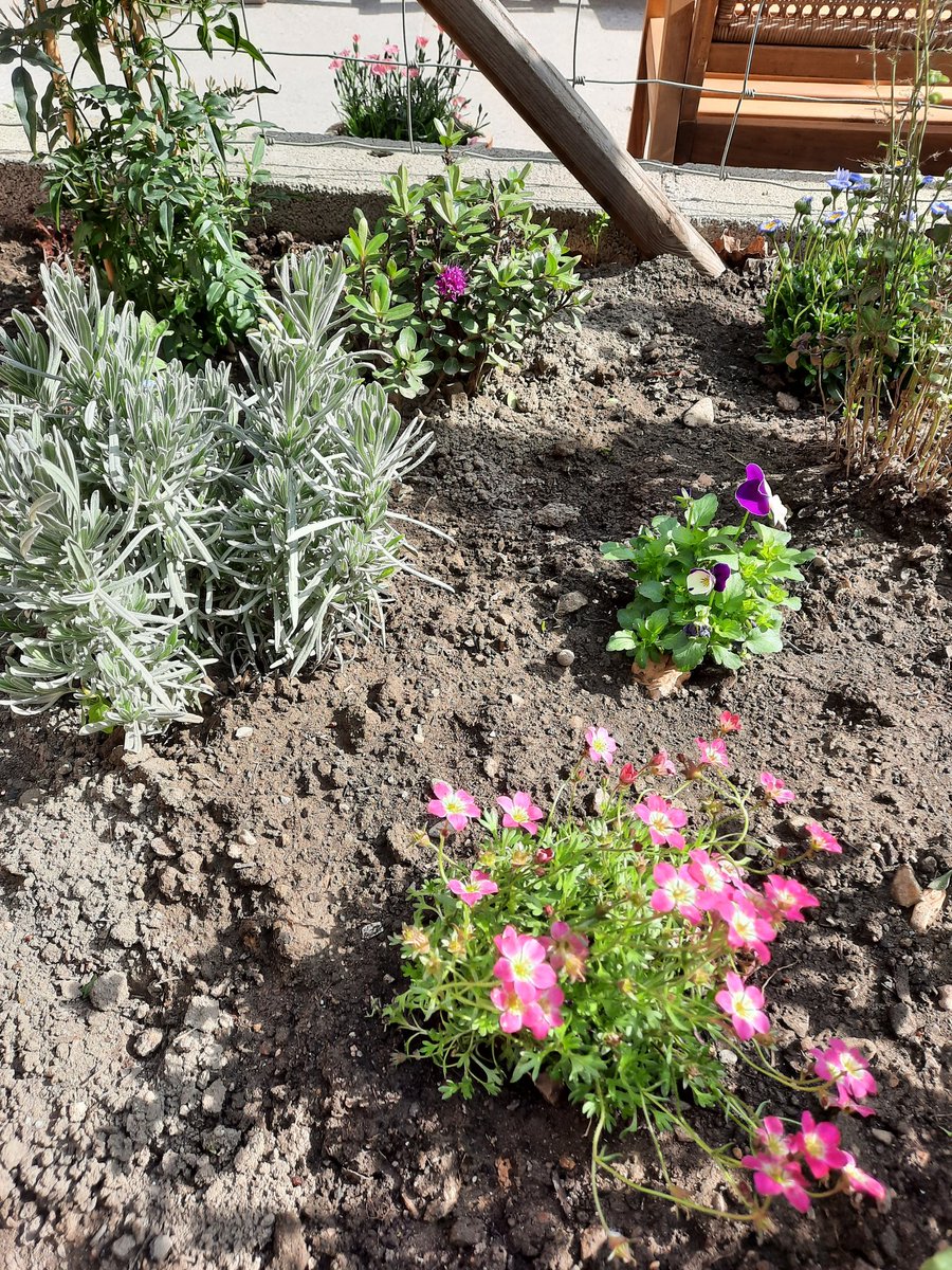 MagnoliaFrance's tweet image. Beautiful day here in #Azille the #garden it is then