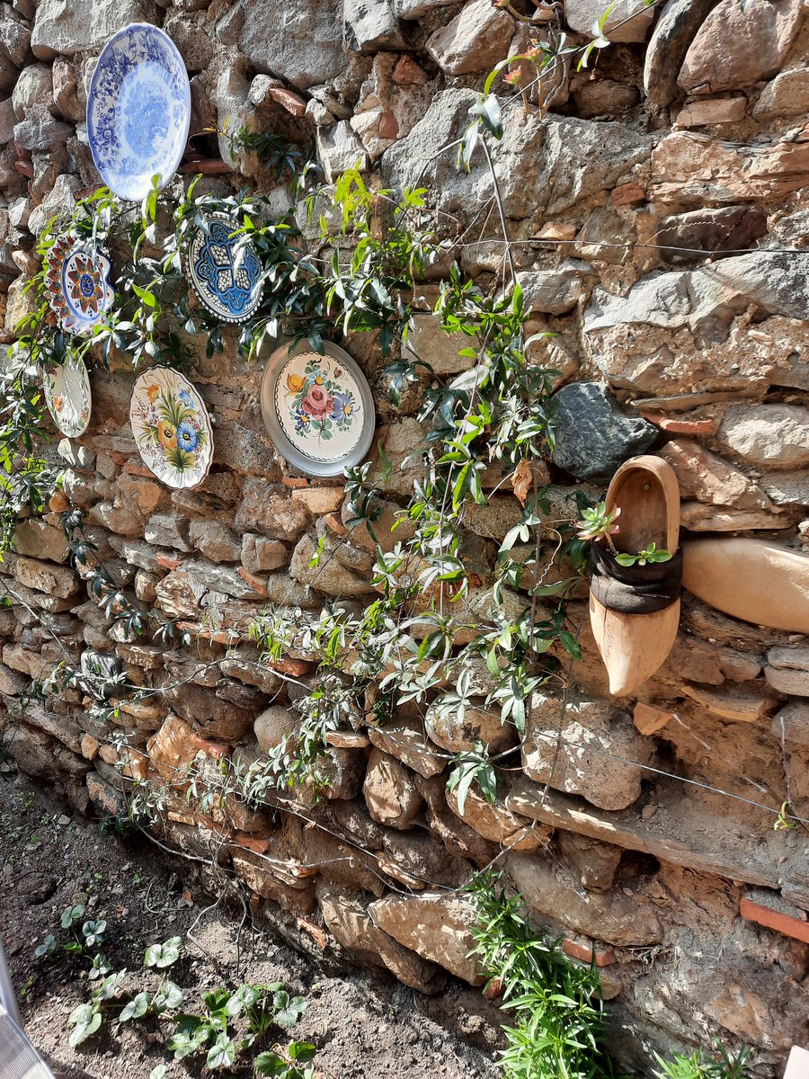 MagnoliaFrance's tweet image. Beautiful day here in #Azille the #garden it is then