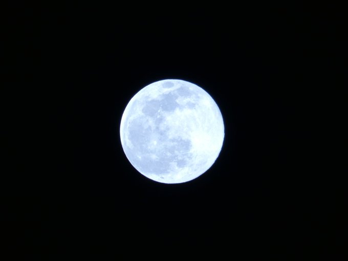 月がきれいですね🌕🎶外は満月 分別なんてのは 闇に塞がせて君の心のすべての 穢れを 教えて #妄想満月 #MrChild