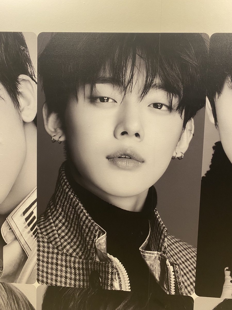 推しと過ごす毎日