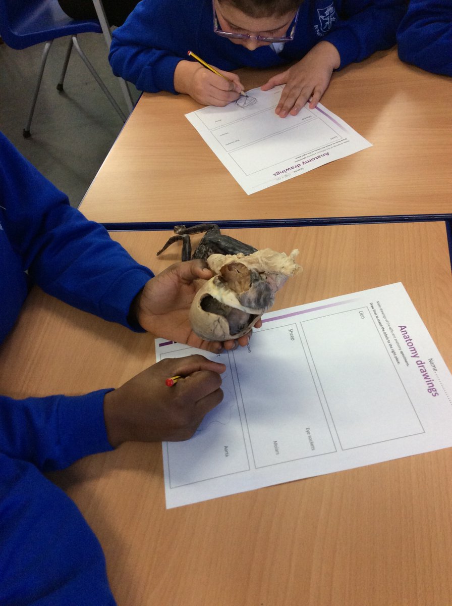 LAE Tottenham tweet media