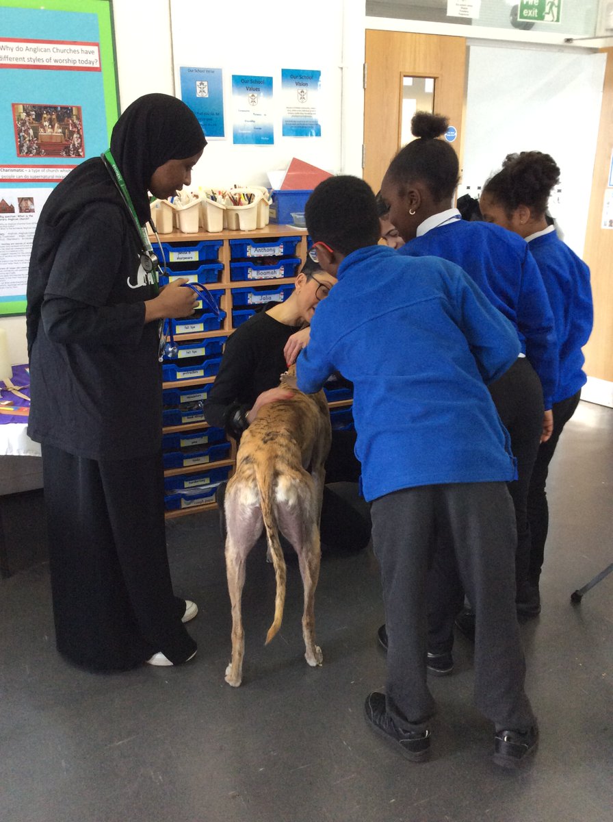 LAE Tottenham tweet media