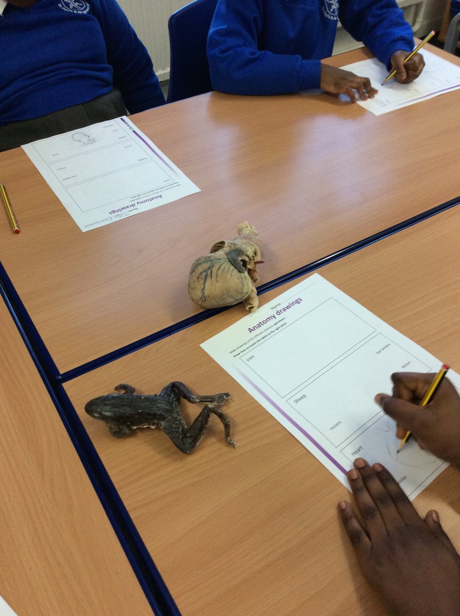 LAE Tottenham tweet media