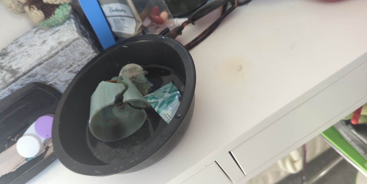 Lorelai Vennard tweet media