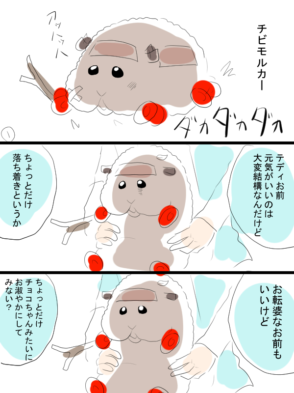 モルカー漫画描きました。チビモルカーチョコ&テディ 