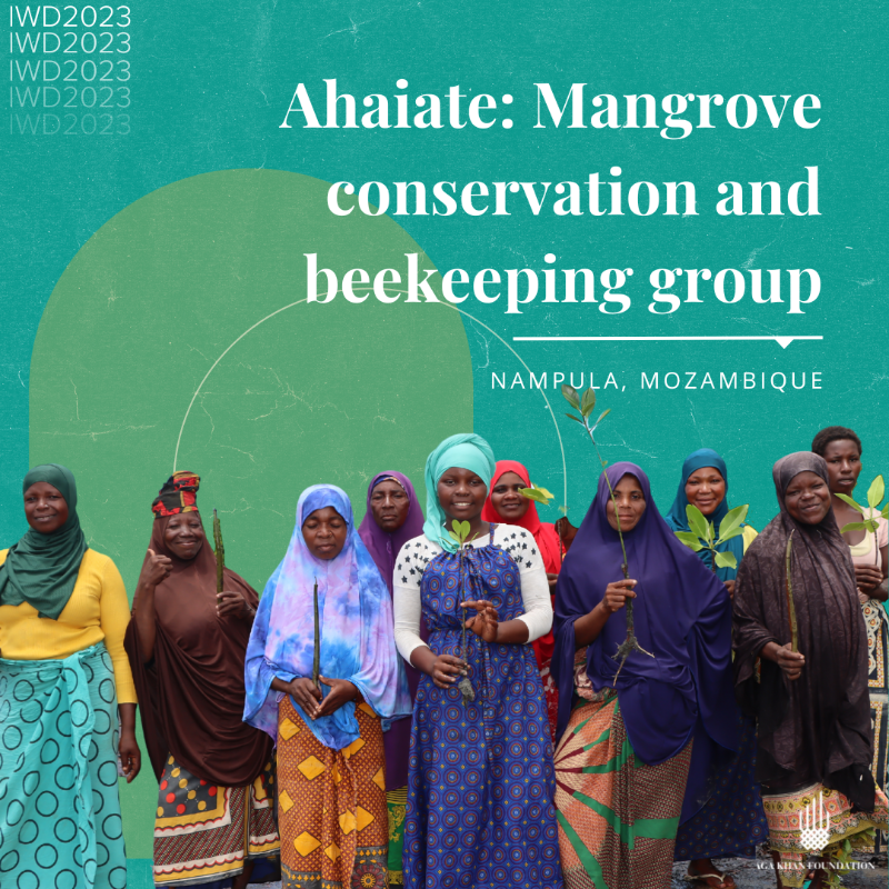 AKF_Global's tweet photo. 🌍 Women &amp; girls are being disproportionately impacted by the #ClimateCrisis.  

🌱 Groups like the Ahaiate Association are working hard to protect their local natural environment &amp; identify climate-friendly livelihoods. 

Swipe to read their story 👉 

#IWD2023 #EmbraceEquity