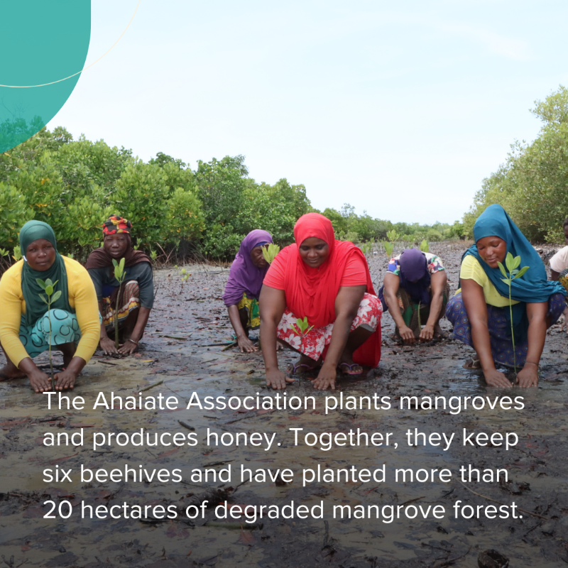 AKF_Global's tweet photo. 🌍 Women &amp; girls are being disproportionately impacted by the #ClimateCrisis.  

🌱 Groups like the Ahaiate Association are working hard to protect their local natural environment &amp; identify climate-friendly livelihoods. 

Swipe to read their story 👉 

#IWD2023 #EmbraceEquity