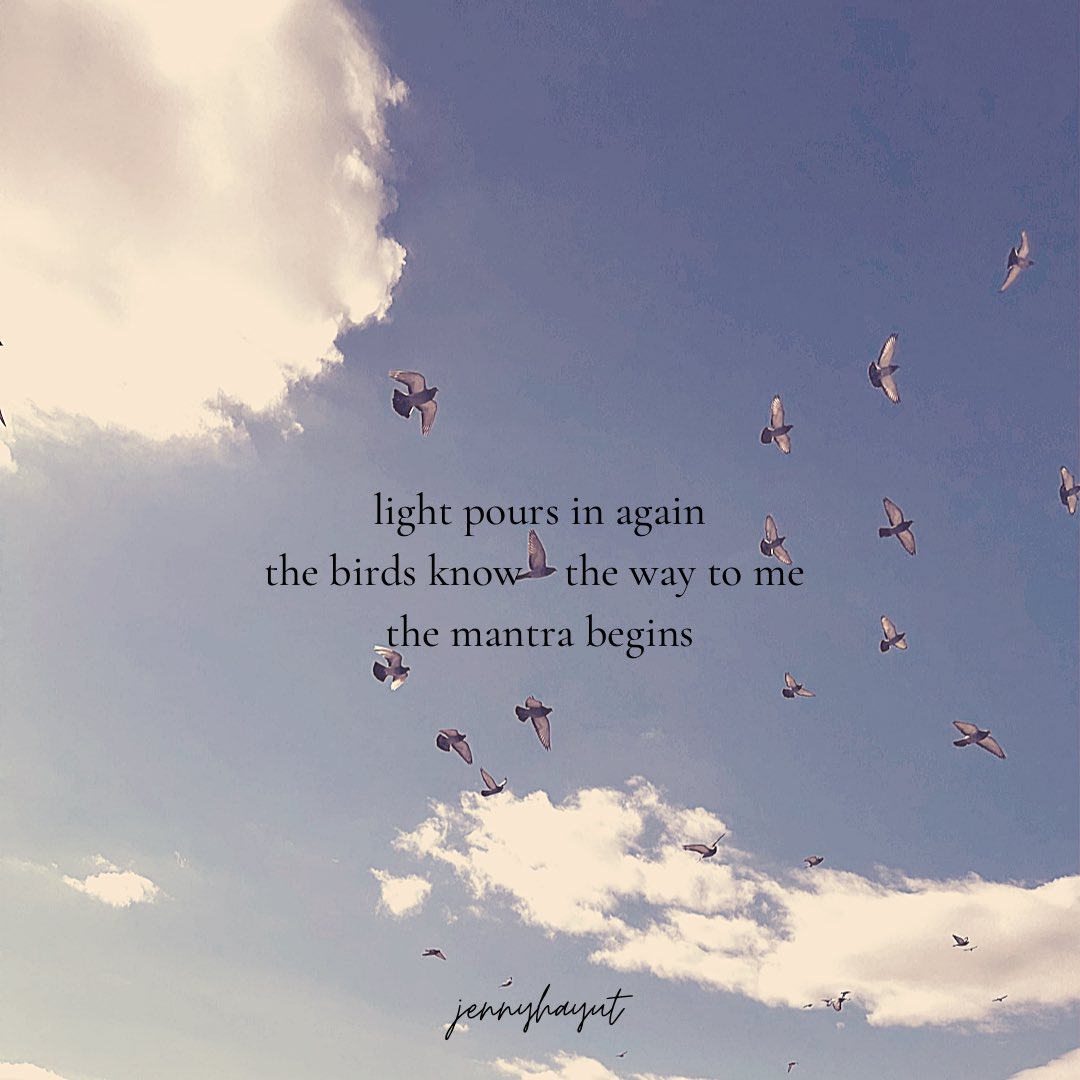 light pours in again 
the birds know the way to me 
the mantra begins