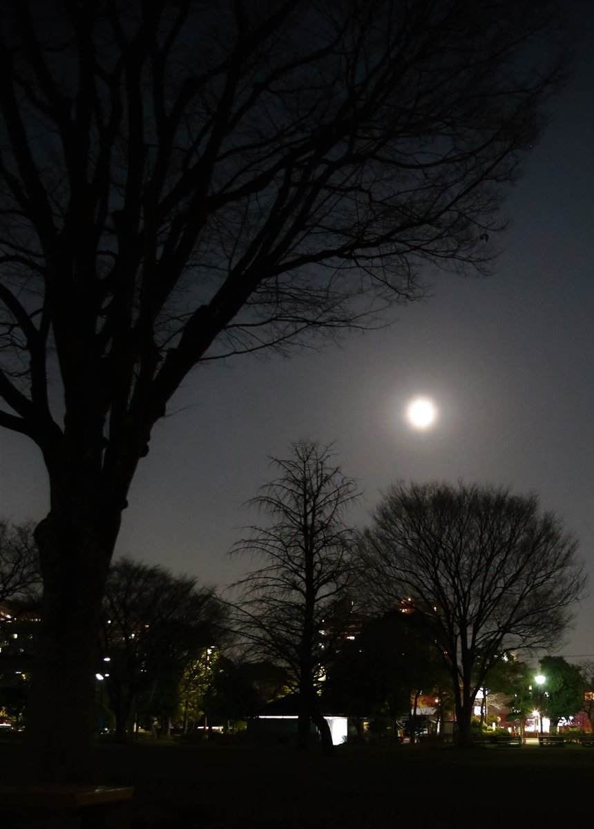 PokeGO_Miki's tweet photo. 今日は満月🌕
ワームムーン😊
#warmmoon https://t.co/PAWkUtHQps