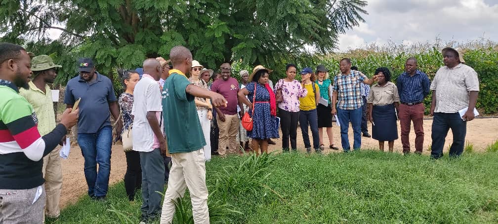 Christian Aid Zimbabwe (@caid_zimbabwe) on Twitter photo Today <a href="/CAID_Zimbabwe/">Christian Aid Zimbabwe</a> is excited to be hosting a delegation from the EU in one of the BRACT projects sites Mutoko. #BRACT <a href="/ZRBFZIM/">Zimbabwe Resilience Building Fund #ZRBF</a> <a href="/UNDPZimbabwe/">UNDP Zimbabwe</a> <a href="/aullinechapisa/">Aulline Chapisa</a> Today <a href="/CAID_Zimbabwe/">Christian Aid Zimbabwe</a> is excited to be hosting a delegation from the EU in one of the BRACT projects sites Mutoko. #BRACT <a href="/ZRBFZIM/">Zimbabwe Resilience Building Fund #ZRBF</a> <a href="/UNDPZimbabwe/">UNDP Zimbabwe</a> <a href="/aullinechapisa/">Aulline Chapisa</a>