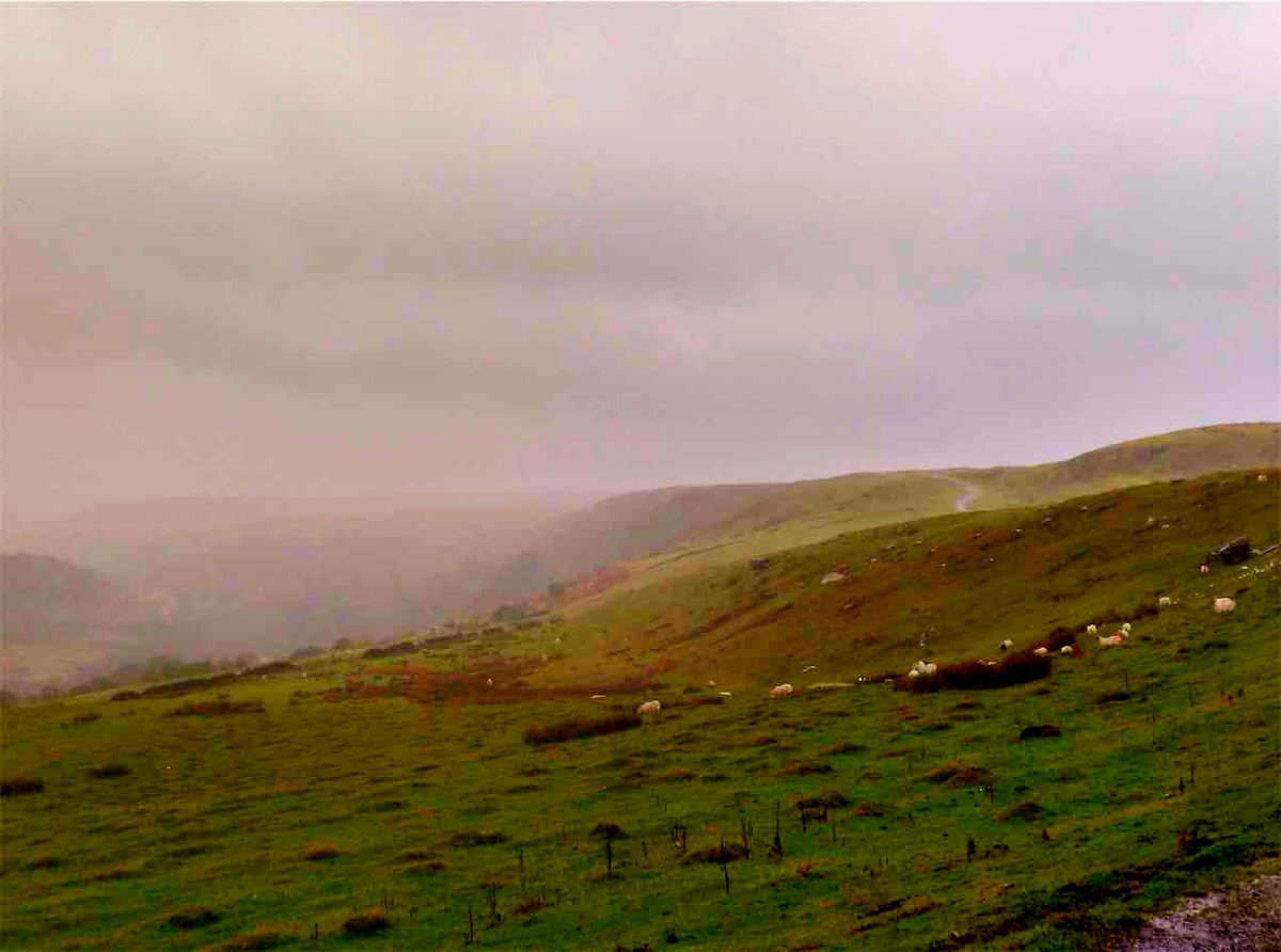 Comin Cydweithredol - Common Connection tweet media