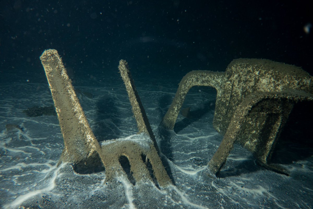 "22nd Anniversary Dive of Gölcük - Değirmendere Earthquake" 
by <a href="/ErtanSide/">Ertan Şide</a>  📸⤵️

x-hall.gen.tr/TR,2404/ertan-…

#XHall #XHallCommunity #photography #exhibition #NFTCommunity