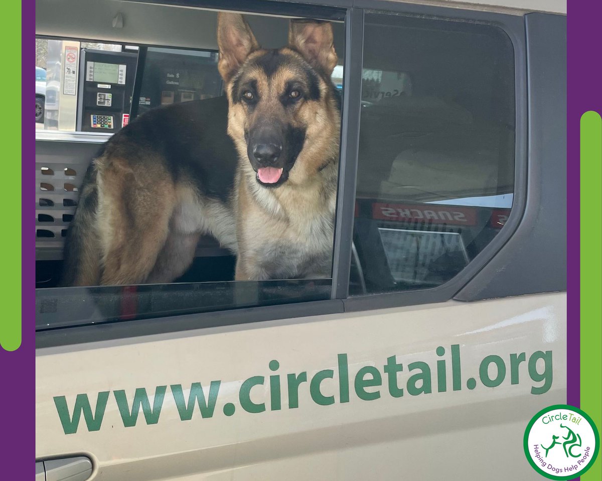 Circle Tail, Inc. tweet media