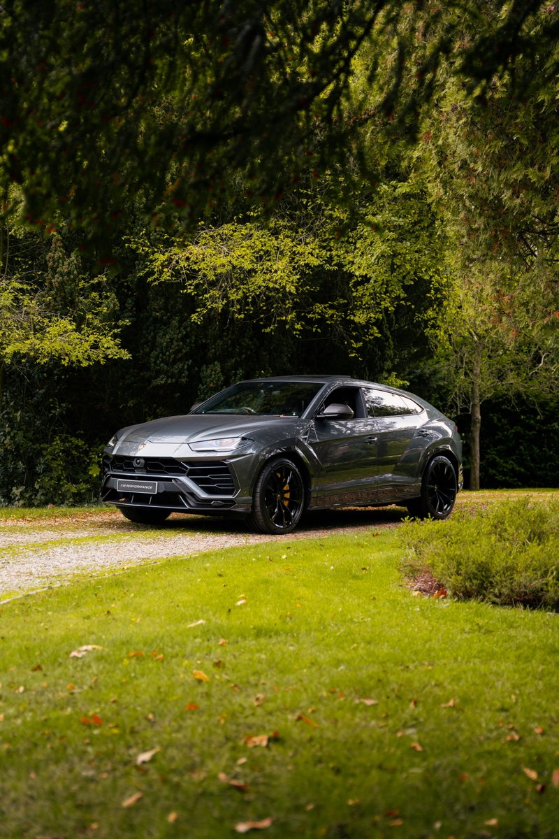 F12 PERFORMANCE tweet media