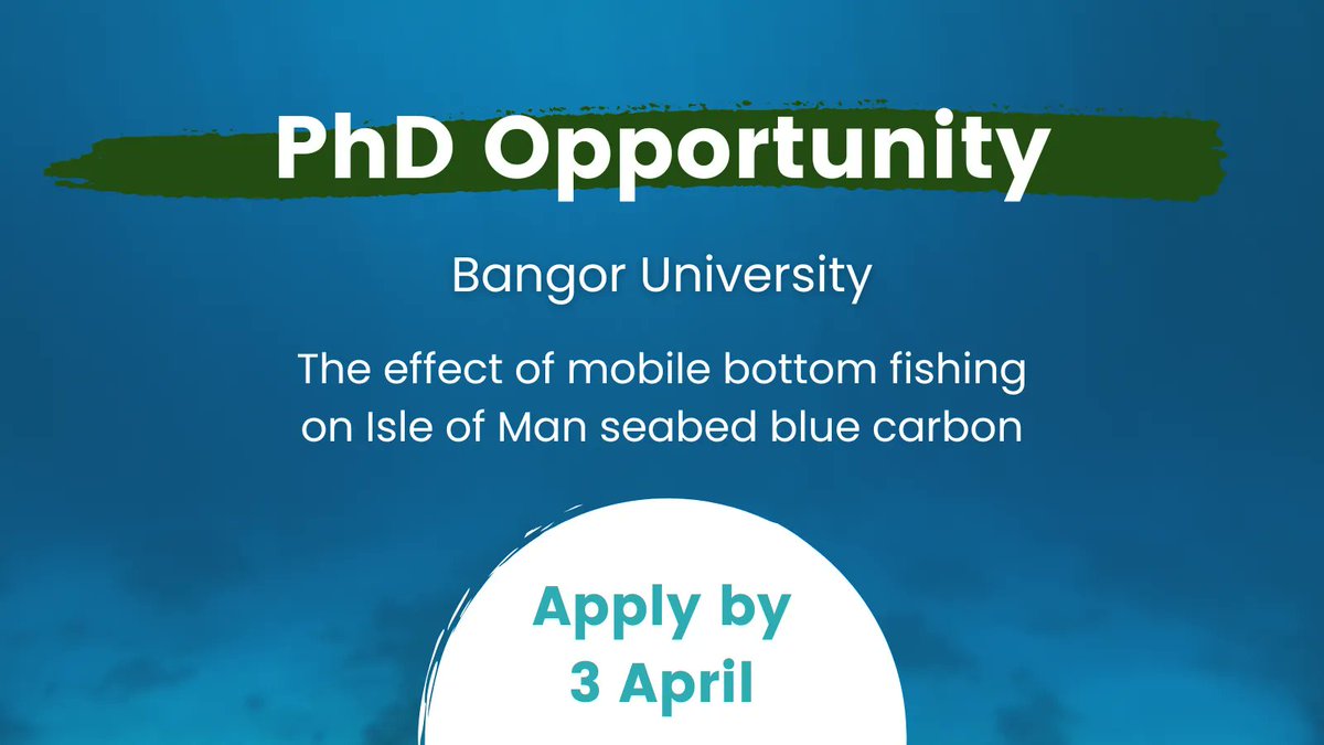 New PhD opportunity at @BangorUniversity investigating the relationship between bottom-trawl #fishing and #BlueCarbon stored in seabed sediments! This project consists of ecosystem modelling, lab analyses of organic carbon, and offshore sampling. Details👉buff.ly/3SL5mPB