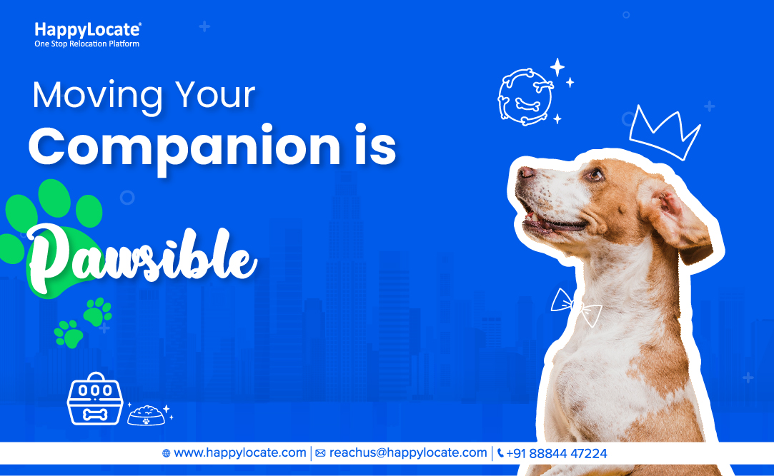 HappyLocate's tweet image. The best companion of a man is their pet, and the best companion of your pet during Pet Relocation is HappyLocate!🐹🐱
 
#petmove #petrelocation #petshipping #petshifting #relocationexpert 
#relocationservices
