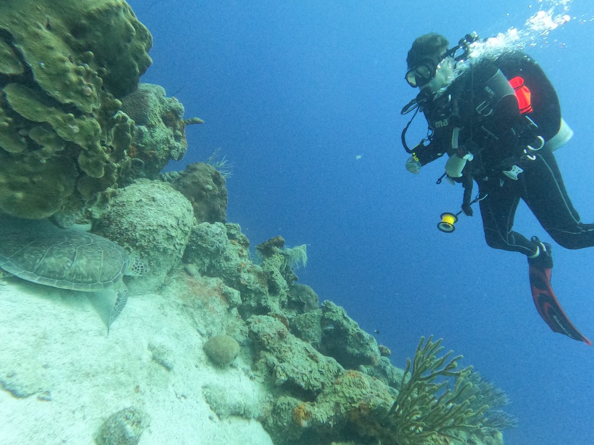 PGC_Sail_Scuba's tweet photo. Great couple of dives in #curacao with @scubacao #shoredive . Highly recommended https://t.co/nQZm1Ubnte
