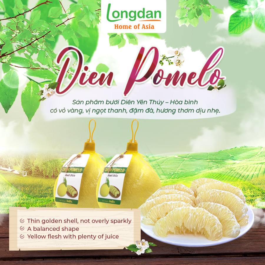 🎉DIEN POMELO: GET YOURS NOW!

Dien Pomelo from Vietnam is not only famous among residents and visitors, but it is also gaining popularity globally.
👀 Get one today at your nearest Longdan Store!
_______________
🛒longdan.co.uk