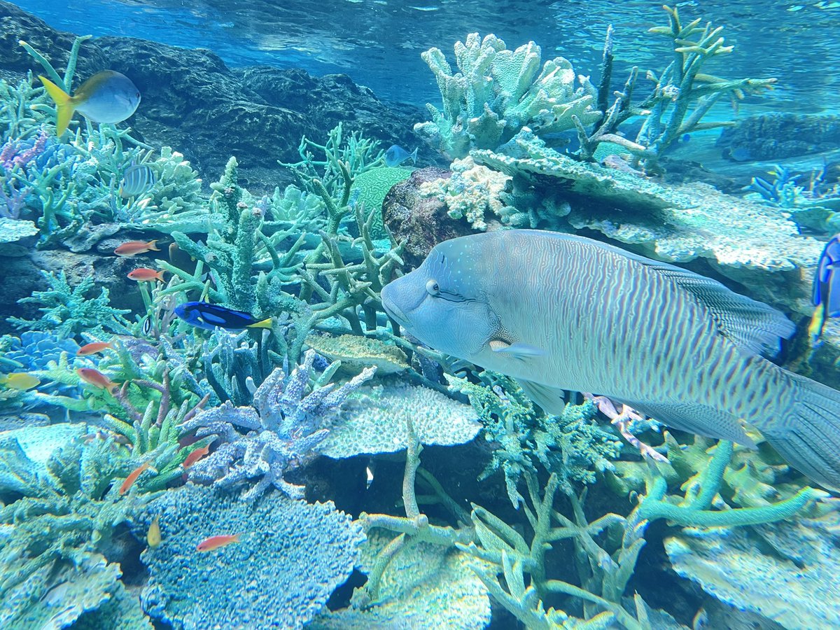 #名古屋港水族館 2023.3.7