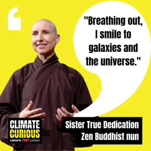 Enjoy a short guided meditation from @sistertrueD on connecting with the Earth on @tedxlondon's Climate Curious podcast: tedxlondon.com/podcasts/clima… You can also delve deeper into this topic on our 'Zen and the Art of Saving the Planet' online course: plumvillage.org/zasp