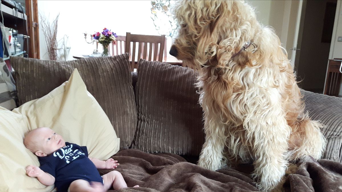 WIN £100 of our CBD products... You've got to be in it to win it! - mailchi.mp/8387419af3ff/t…