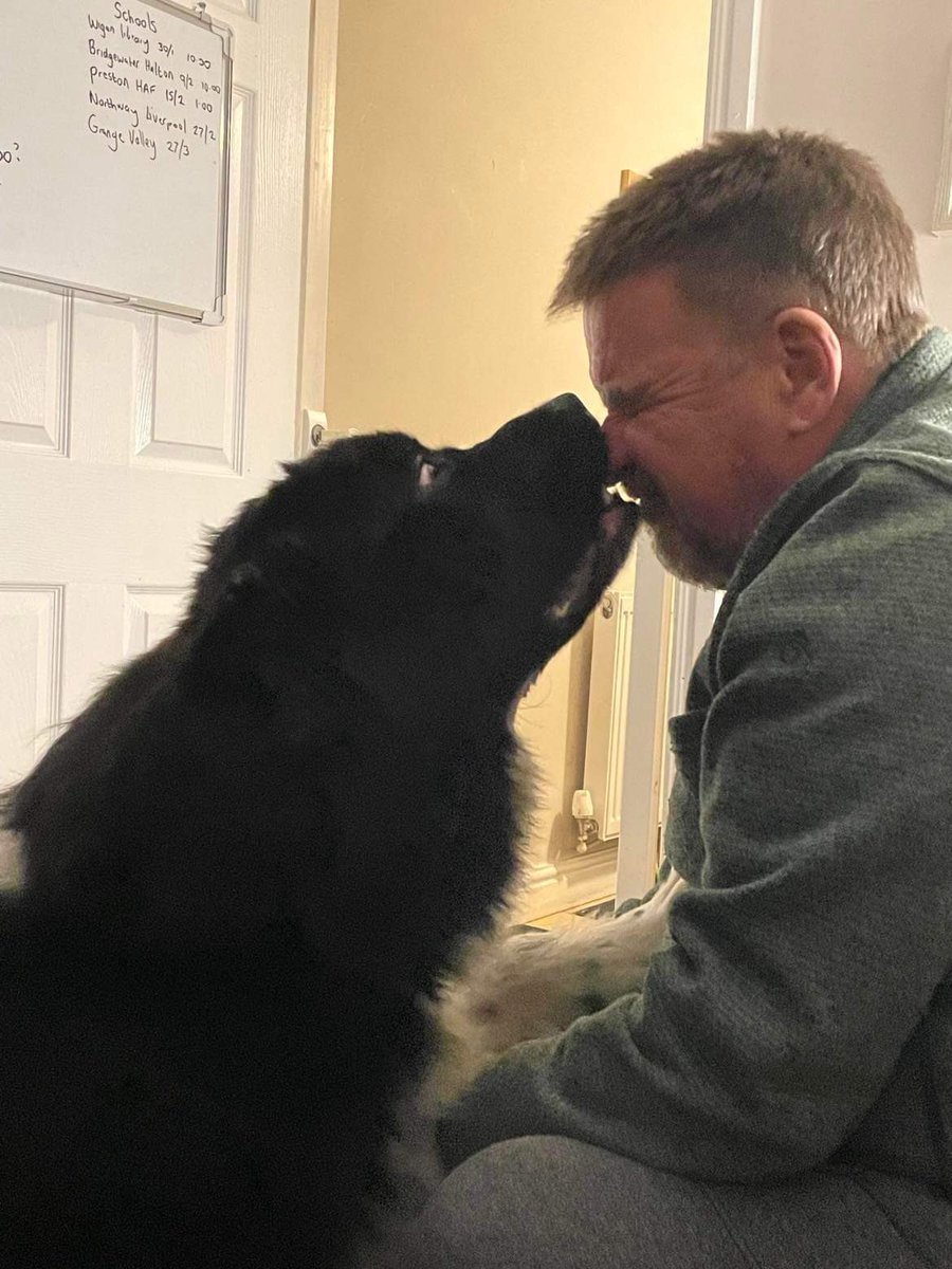 Yes I love you too dad…Now do you mind if I just nibble your nose? Promise I’ll be gentle…ish. #DogsofTwittter #DogsBehavingVeryBadly #Bandito #kisses #dogsarefamily