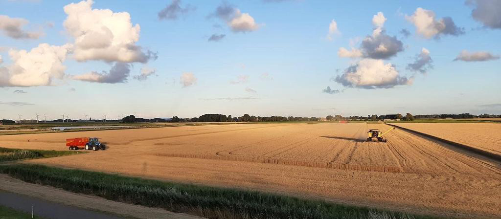 De <a href="/Niscoo/">Niscoo</a> kennisbijeenkomst met Carbon Coöp van afgelopen week is zéér goed bezocht. De bijeenkomst was LIVE te volgen, maar is ook terug te kijken 🎬 hierbij de link: youtube.com/watch?v=NF5zQR…