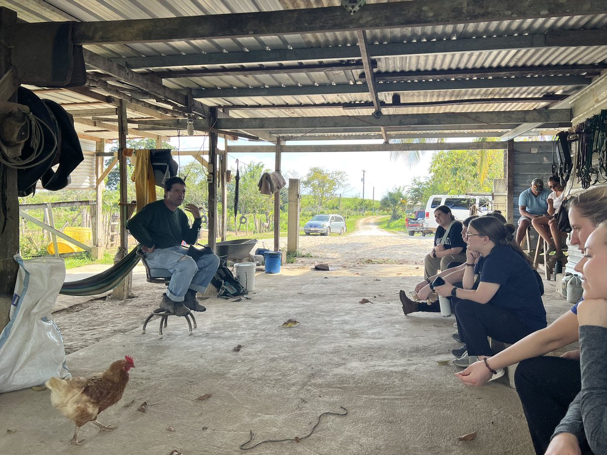 Carson Letot, Ph.D. tweet media