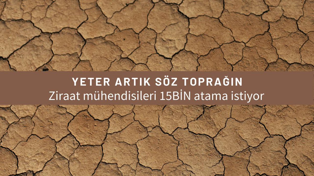 Senelerdir düşük alımlara maruz kalıyoruz Ziraat mühendisleri Mart'ta rekor atama istiyor
<a href="/kilicdarogluk/">Kemal Kılıçdaroğlu</a> <a href="/meral_aksener/">Meral Akşener</a> <a href="/VahitKirisci/">Prof.Dr.Vahit Kirişci</a> <a href="/NumanKurtulmus/">Numan Kurtulmuş</a> <a href="/fuatoktay/">Fuat Oktay</a> <a href="/ademdinc_/">Adem Dinç</a> <a href="/RTErdogan/">Recep Tayyip Erdoğan</a>  <a href="/hasandogan/">Hasan Doğan</a>
#CbZiraate15BinOnay