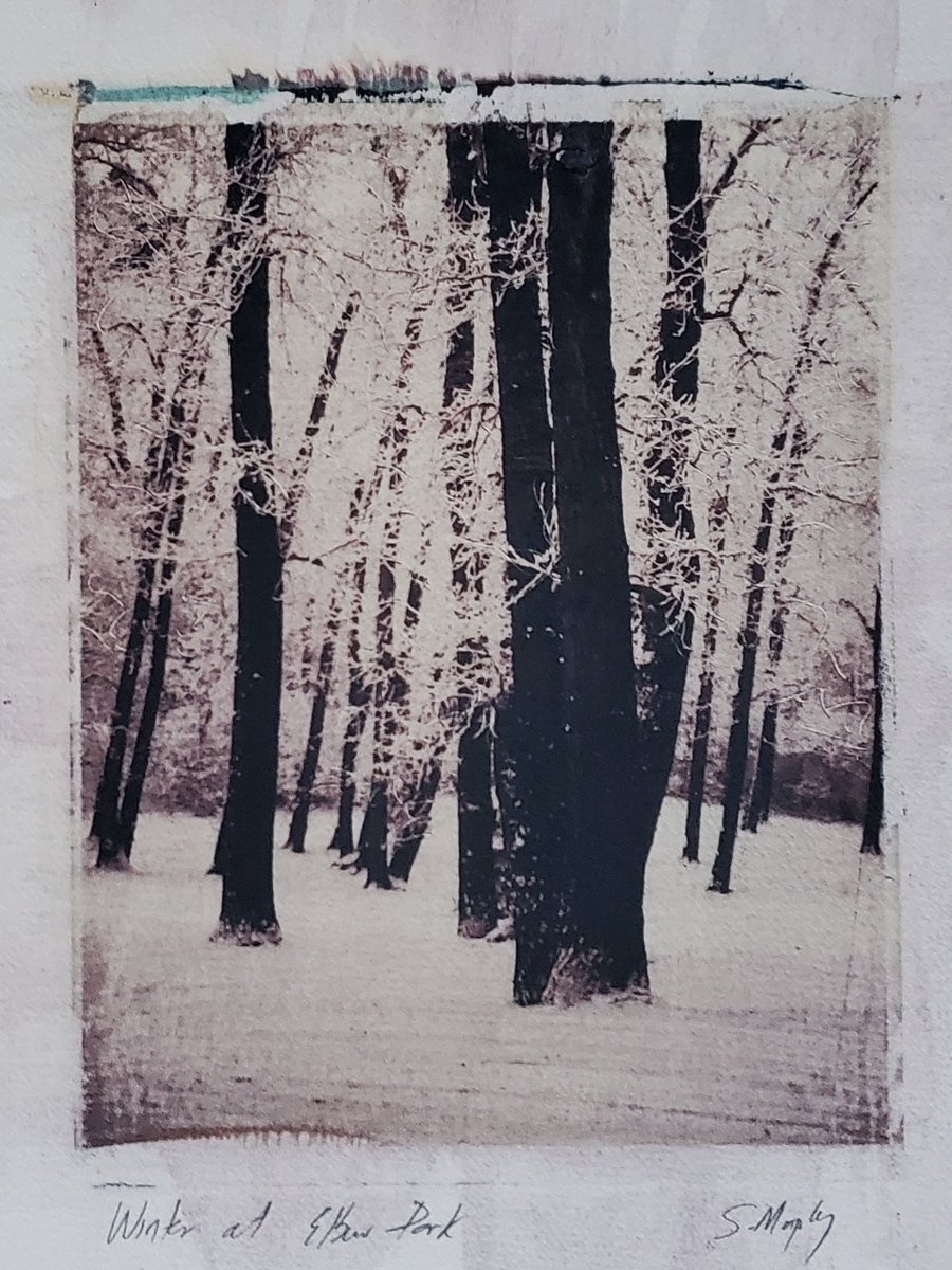 CryptoK37364015's tweet image. Gm ☕️ 
The Polaroid Legacy Collection unfolds with LF (8X10)#polaroidimagetransfer fine art prints on paper.
The first purchaser of an 8X10 NFT will receive the original, signed 1/1 print postpaid anywhere on the globe.
 #LegacyPolaroids #PolaroidPrintsonPaper #tezos 
👇details