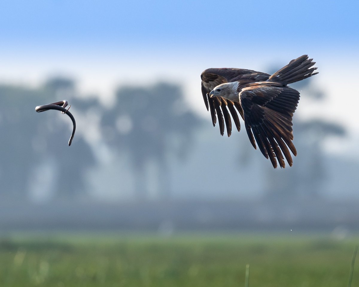 Parimal Nathwani tweet media