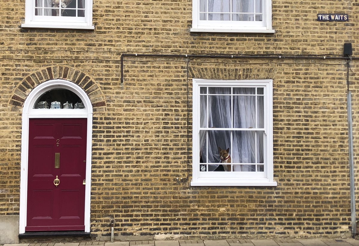 Megan Barker tweet media