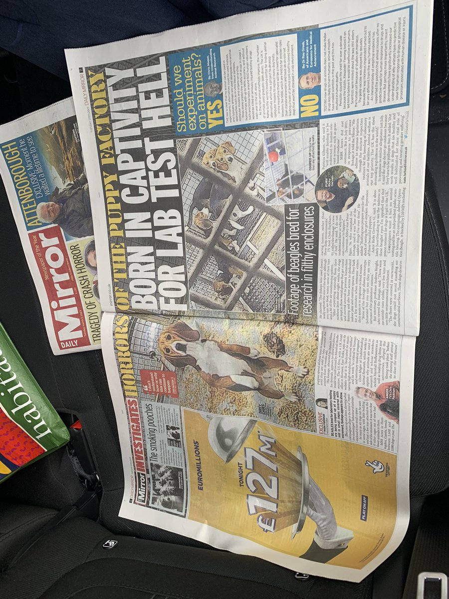 Thanks @NadaFarhoud for your article online and in print. I bought two copies to share the story offline. @DailyMirror 🐾 #untileverycageisempty #AnimalWelfare